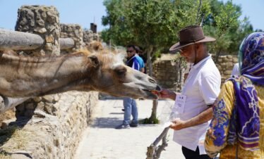 Al Ain Zoo