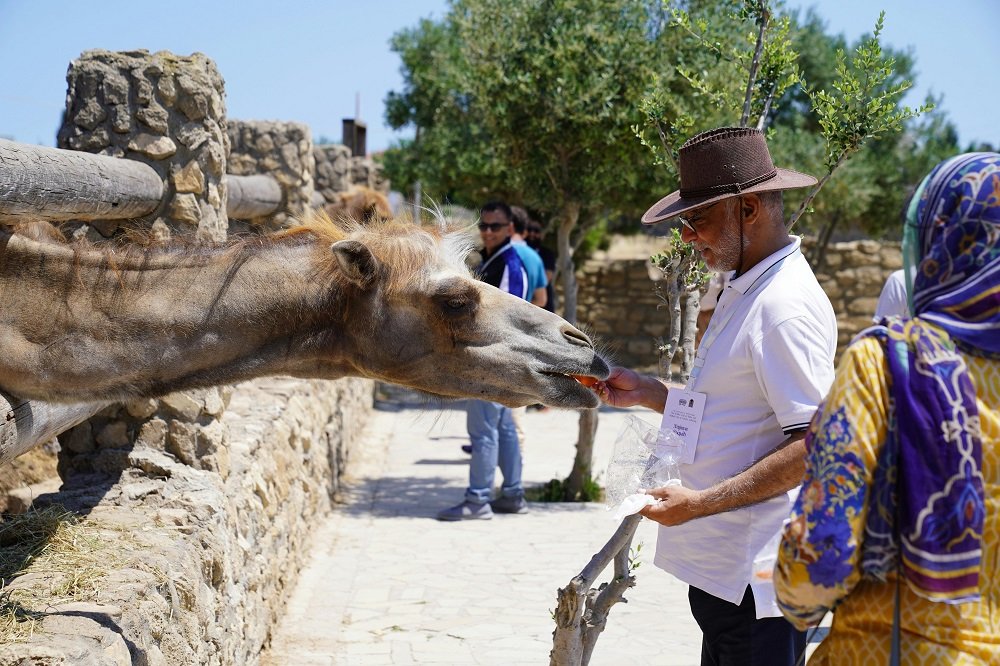 Al Ain Zoo