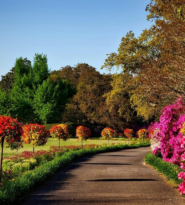 Al Noor Butterfly Garden Sharjah