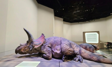 Abu Dhabi Natural History Museum