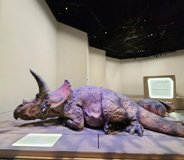 Abu Dhabi Natural History Museum