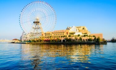 Al Noor Island Private Tour
