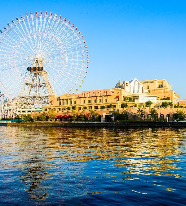 Al Noor Island Private Tour