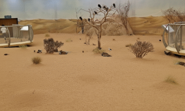 Arabian Wildlife Center (2)
