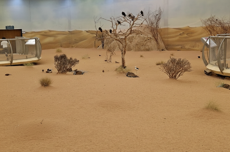 Arabian Wildlife Center (2)