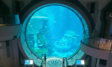 Sea World Abu Dhabi Rides and Attractions