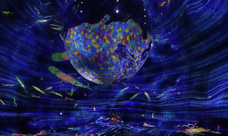 Teamlab Phenomena Abu Dhabi