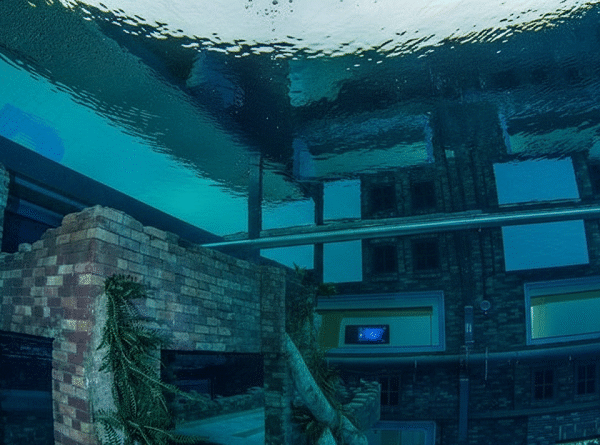 deep dive dubai tour with transfer