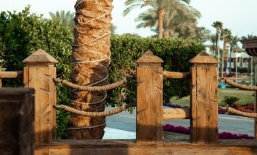 emirates-park-zoo-tour-abu-dhab