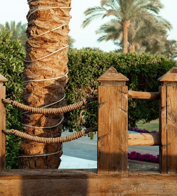 emirates-park-zoo-tour-abu-dhab