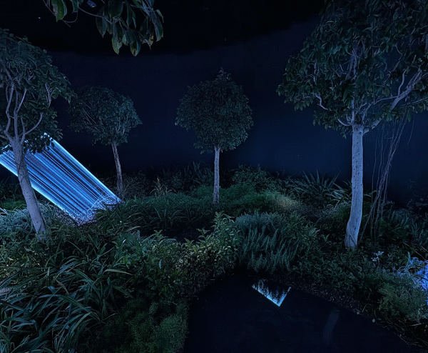 teamlab phenomena abu dhabi ticket price