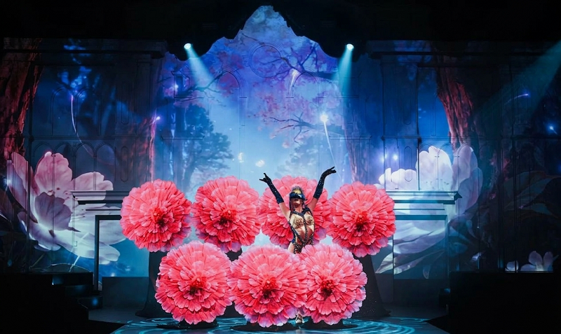 Dream Dinner Show Dubai With Transfer